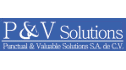logo Punctual & Valuable Solutions