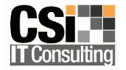 logo CSI IT Consulting