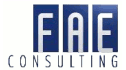 FAE Consulting