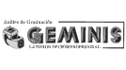 logo de Anillos Geminis
