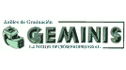 logo de Anillos Geminis