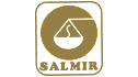 logo Grupo Salmir
