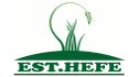logo Hefe Fertilizantes