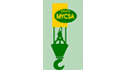 logo de Transportes y Gruas MYCSA