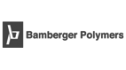 logo de Bamberger Polymers de Mexico