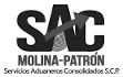 logo de Agencia Aduanal Patron Castellanos