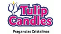 logo Tulip Candles