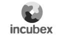 logo de incubex