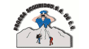 logo Proesa Seguridad