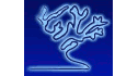 logo de Deep Reef