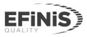 logo de Efinis
