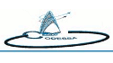 logo Construcción, Desarrollo, Supervisión y Asesoría