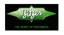 logo BITZER Scroll