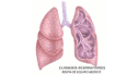 logo de Cuidados Respiratorios