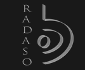logo de Radaso Chemicals