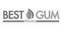 logo de best gum mexico s.a. de c.v.