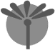 logo de modigene fragancias mexicanas