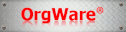 logo OrgWare México