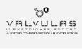 logo de valvulas industriales carfer